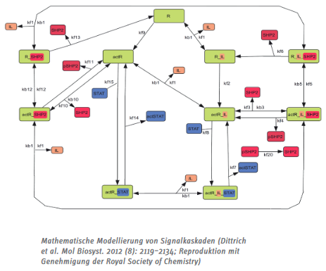 OVGU - FNW - Systembiologie in Magdeburg